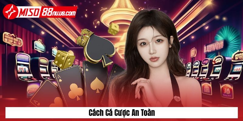 Hướng dẫn cách cá cược an toàn Hướng dẫn cách cá cược an toàn
